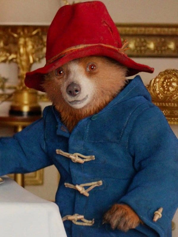 Paddington In Peru Paddington Hooded Jacket